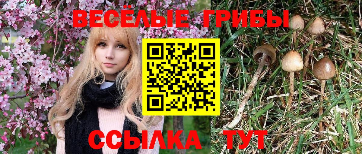 Ангарск  Галлюциногенные грибы мухоморы  Вход с VPN 