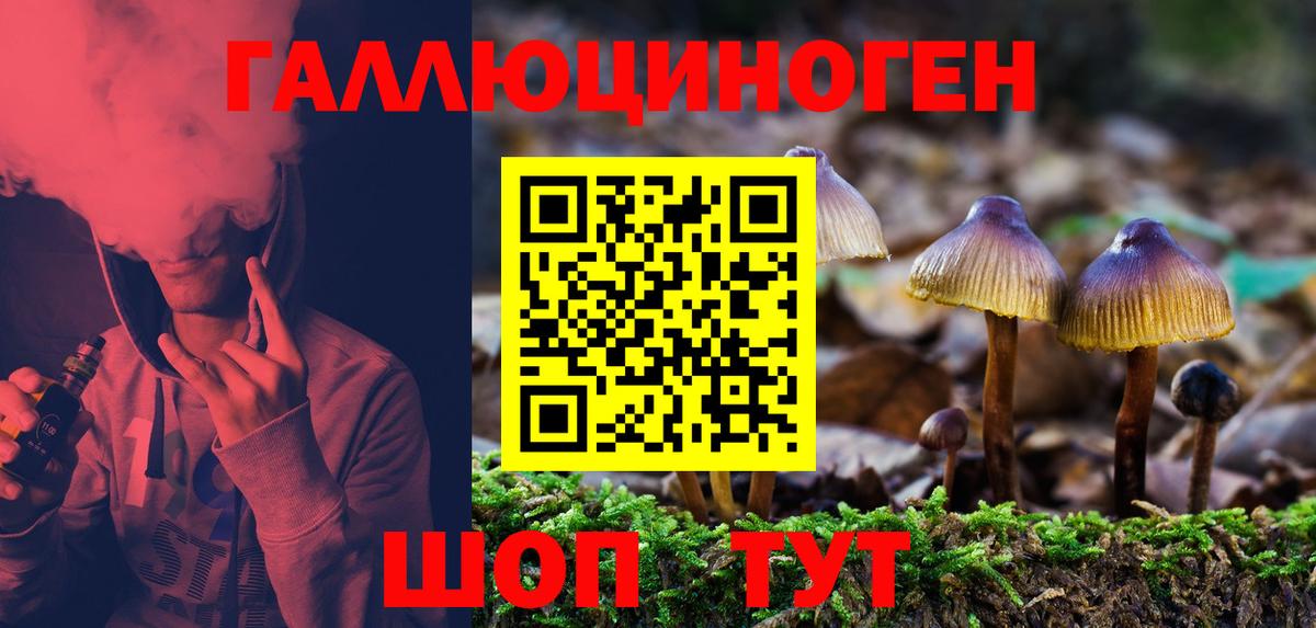 Псилоцибиновые грибы Magic Shrooms Ангарск